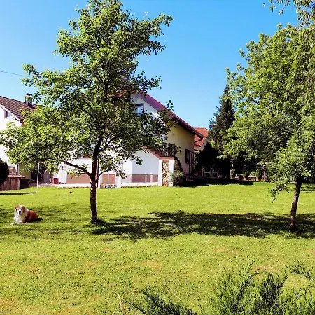 Apartment Villa Zizzy Rakovica Exterior photo